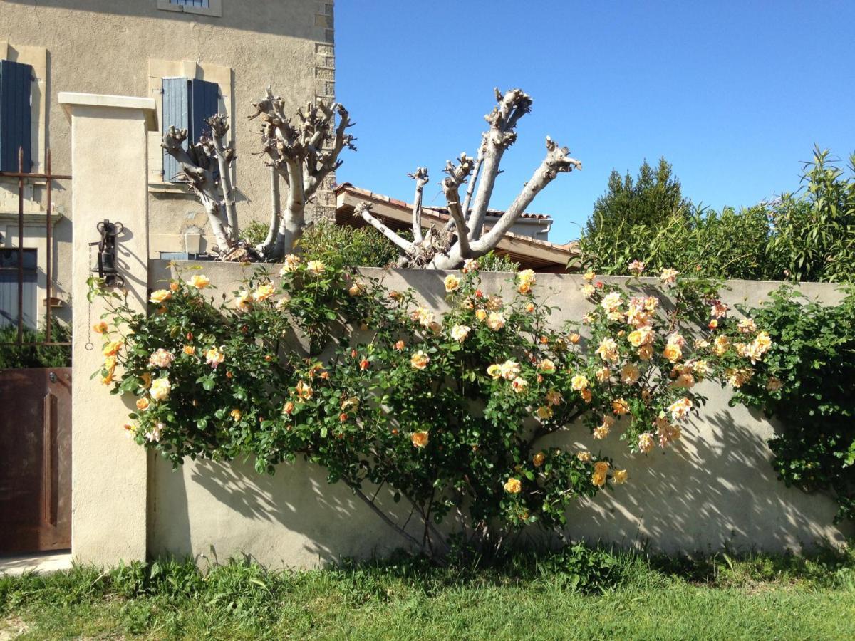 B&B - Le Vieux Figuier Vacqueyras Exterior foto